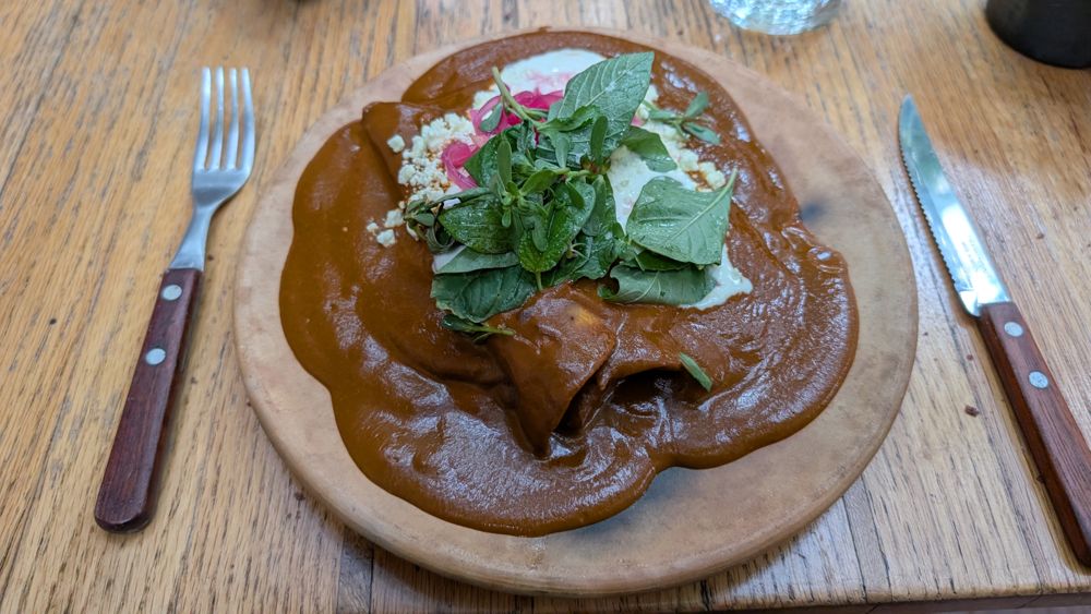 Enmoladas under a pool of dark mole, topped with herbs and pickled onion